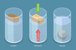 3D Isometric Flat Vector Conceptual Illustration of Buoyancy Force, Physics Educational Experiment