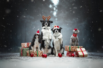 Wall Mural - christmas black and white dogs in snow winter forest with presents, santa red hat, balls, deer horns