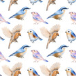 Seamless pattern of cute spring birds, hand drawn illustration on white background
