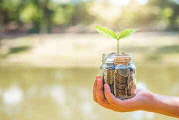 Wall Mural - hand of business woman holding golden coin on hands with green plant leaves growth against green blur nature background. money saving, business financial growth, economy budget and investment concept.