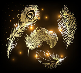 Shiny gold feather over dark background. Concept for temporary flash metallic tattoo. Vector illustration.