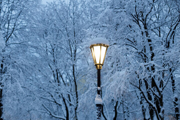 Aufkleber - luminous street lamp in the park in winter