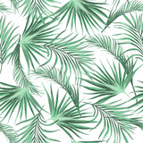 Fototapeta Sypialnia - Palm vector pattern. Tropical seamless illustration. Summer print.