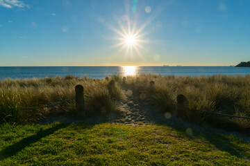 Wall Mural - Sand track through pingao beach vegetation and between ropes and bollard looking into sun above distant horizon.