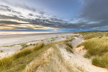 Canvas Print - Landscape view of sand dune on the North sea coast