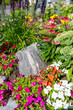 Vibrant colours and Spring flowers provide for a beautiful garden.