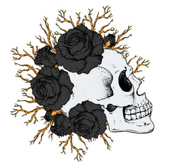 Wall Mural - Human Skull and roses flowers hand drawn illustration. Sketch illustration. Tattoo vintage print. Skull and roses. T-shirt design.