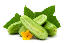 Cucumber Vegetable Closeup On White