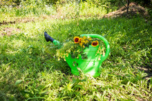 A Bouquet Of Meadow And Garden Flowers In A Green Garden Watering Can In The Summer In The Garden