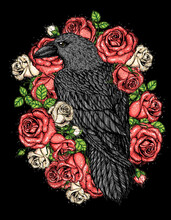 Raven And Red Roses Free Stock Photo - Public Domain Pictures