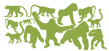Monkey Collection Vector Silhouette Illustration Isolated On White Background. Chimpanzee. Gorilla. Proboscis Monkey Nasalis Larvatus, Nose Monkey. Langur. Red Shanked Douc. Lemur. Orangutan Symbol.