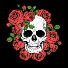 Wall Mural - Skull and flowers hand drawn illustration. Tattoo vintage print. Skull and roses.