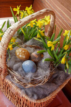 Vertical Image Of Easter Basket With Dwarf Yellow Daffodils And Natural-dyed And Botanical-printed Eggs Nestled Into Fluffy Gray Alpaca Fiber