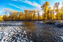 USA, Idaho, Bellevue, Big Wood River And Yellow Trees In Autumn
