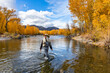 © Tetra Images - USA, Idaho, Bellevue, Senior woman fly-fishing in Big Wood River in autumn