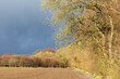 © Thorsten Schier - Landschaft mit Waldrand mit blühenden Weiden, einem unbewachsenen Feld und dunklem Himmel bei Delingsdorf in Schleswig-Holstein. ......