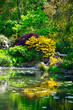 ogród japoński, kwitnące różaneczniki i azalie, ogród japoński nad wodą, japanese garden, blooming rhododendrons and azaleas, Rhododendron	