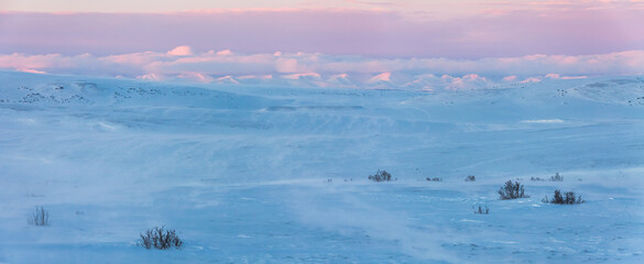 winter landscape. snow-covered tundra in the arctic. mountains in the distance. cold weather. strong
