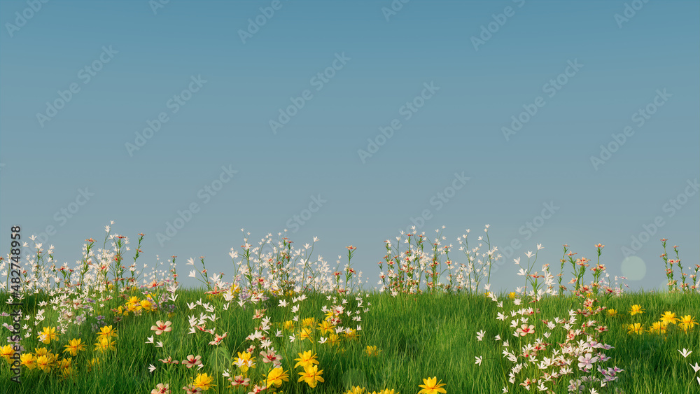 Spring Meadow with Long Grass, Wild Flowers and clear blue sky. Nature ...