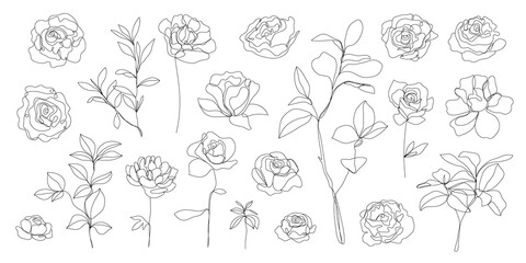 Wall Mural - Vector set of hand drawn, single continuous line flowers, leaves. Art floral elements. Use for t-shirt prints, logos, cosmetics and beauty design elements.