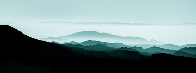 amazing mystical rising fog forest trees mountains landscape panorama in black forest ( schwarzwald 