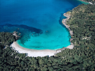 Top view of the beautiful magnificent coast of a white sand beach and a huge number of tall green trees