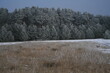 krajobraz zimowy