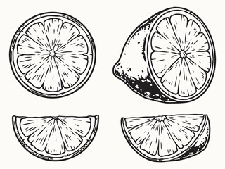 Sticker - Set of four lime parts