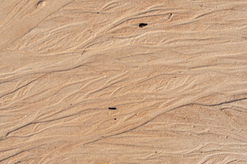 Wall Mural - An abstract brown sandy background