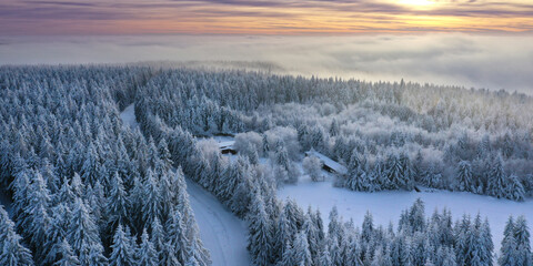 Wall Mural - Winter mit Nebel