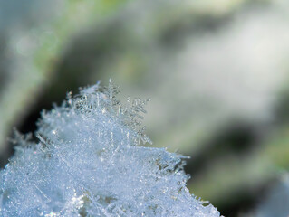 Wall Mural - Macro background of fresh snowflake texture