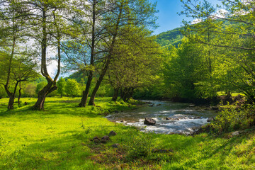 Wall Mural - source of turiya river in spring. beautiful nature landscape in the valley. countryside scenery with