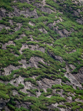Pattern Of Grass And Rock On Steep Mountainside, County Kerry