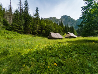 Sticker - Strazyska Valley - Giewont mountain - Tatras - Poland