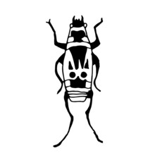 Print Soldier Bug, Wingless Red Bug, Kozachek, Or Red Bug, Linear Vector Drawing, Line Vector Drawing. Naturalness Of Nature, Beautiful Beetle, Ecology. White And Black Colors Background