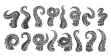 Octopus Tentacles Glyph Icons. Monochrome Cut Limbs Of The Sea Monster Kraken. Set Of Sea Octopus Twisted Tentacles With Suckers Vector Illustration.