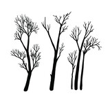 Fototapeta Dmuchawce - Naked tree silhouette. Hand drawn vector illustrations.	
