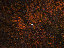  Drone Shot In Autumn