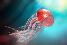 3d Rendering Of Pink Jellyfish Floating In The Dark Blue Ocean Background With Sunlight.