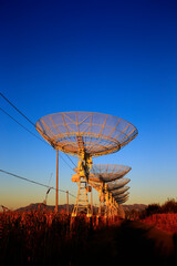 Wall Mural - the observatory radio telescope