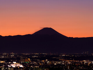 Canvas Print - 東京の街並みと富士山の夕暮れ