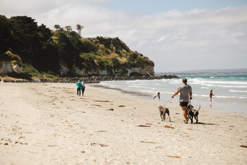 Sticker - A beautiful sandy beach with walking people in Portland, Victoria, Australia