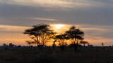 Fototapeta Sawanna - sunset in the mountains Serengeti