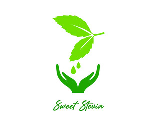 Wall Mural - 100% organic sweet stevia leaf