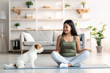 Wall Mural - Dog and owner exercising together at home