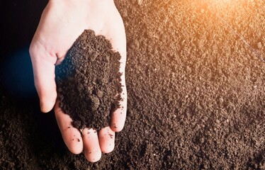 Canvas Print - Male hands touching soil on the field. Expert hand of farmer checking soil before growth a seed