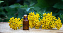 Oils From The Immortelle Plant. Selective Focus