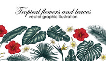 Vector Illustration Of Colored Tropical Flowers And Leaves. Hibiscus, Palm Leaves, Monstera, Plumeria, Strelitzia, Banana Leaves, Aralia, Elephant Ear Leaves