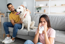 Sick Caucasian Lady Having Cold, Blowing Nose, Sneezing In Paper Tissue, Her Arab Boyfriend With Pet Dog On Background
