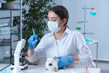 Wall Mural - Scientist with syringe and rabbit in chemical laboratory. Animal testing